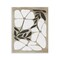 Stupell Industries Boho Flowers Trio Wall Plaque Design by Victoria Barnes